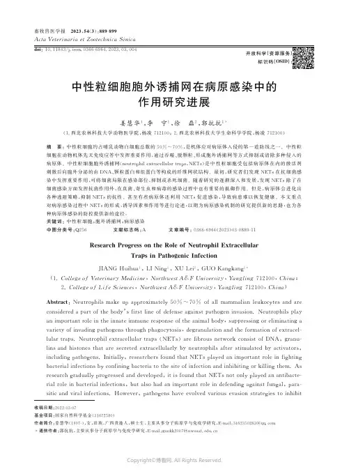 211001950_中性粒细胞胞外诱捕网在病原感染中的作用研究进展