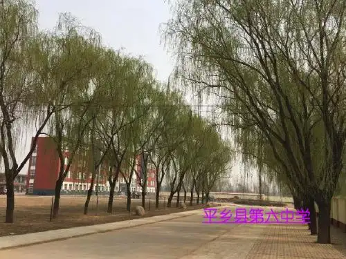 九年级英语unit 14 I remember meeting all of you in Grade 7