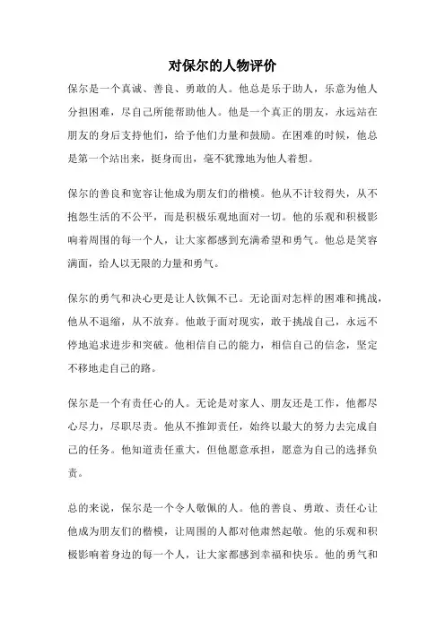 对保尔的人物评价