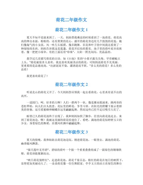 荷花二年级作文