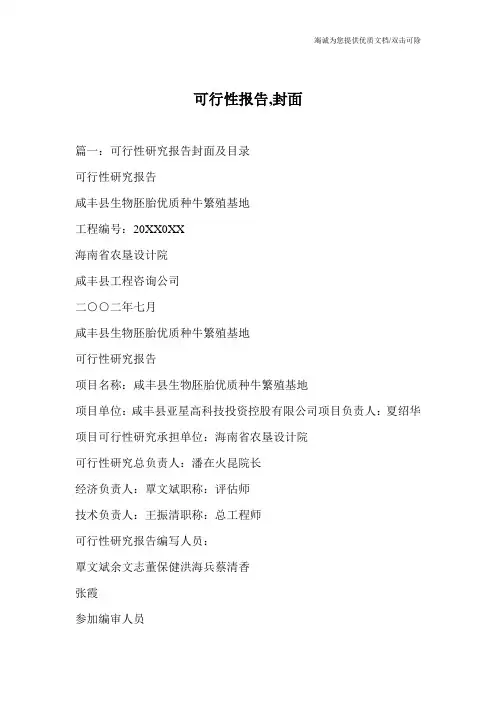 可行性报告,封面