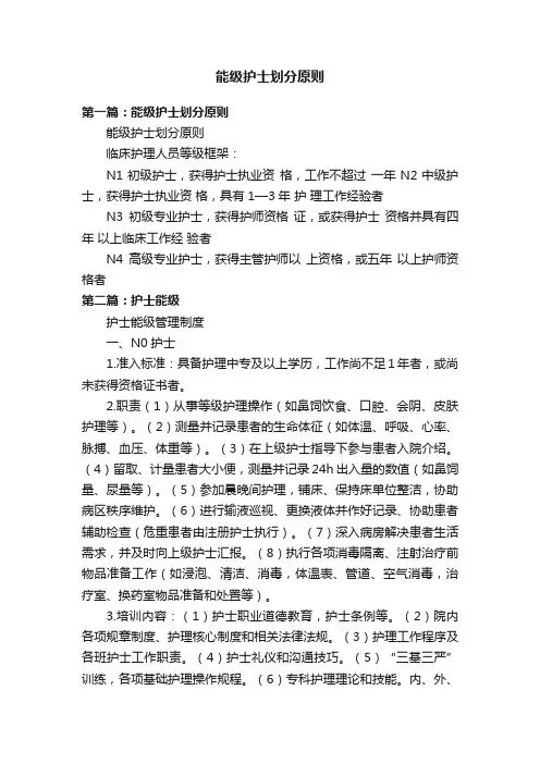 能级护士划分原则