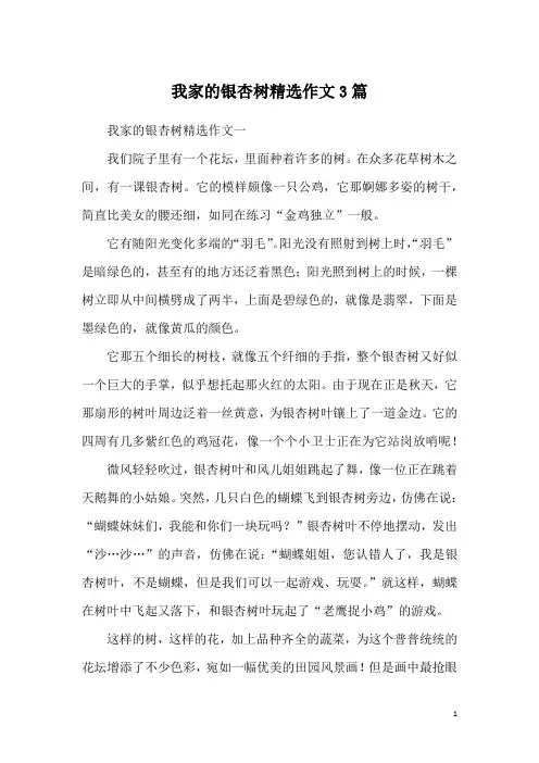我家的银杏树精选作文3篇
