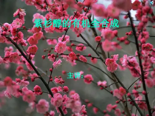 紫杉醇有机全合成PPT课件