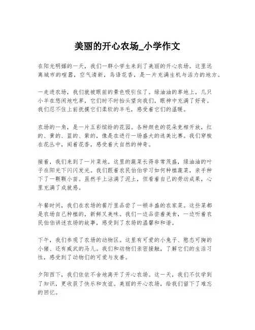 美丽的开心农场_小学作文