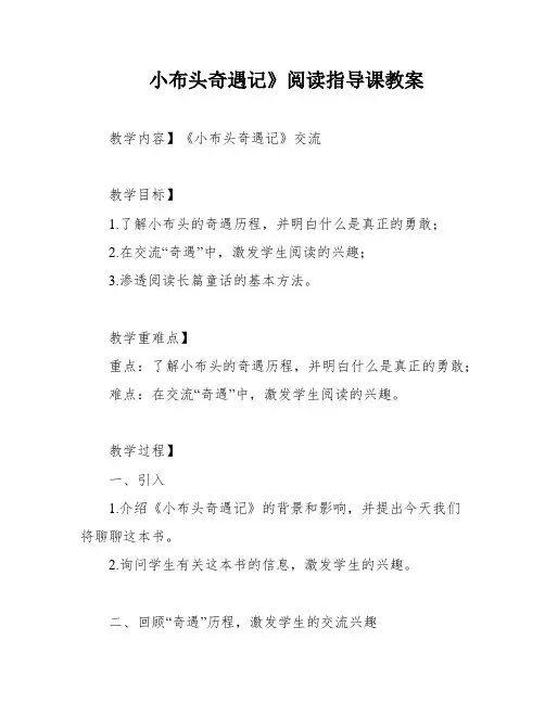 小布头奇遇记》阅读指导课教案