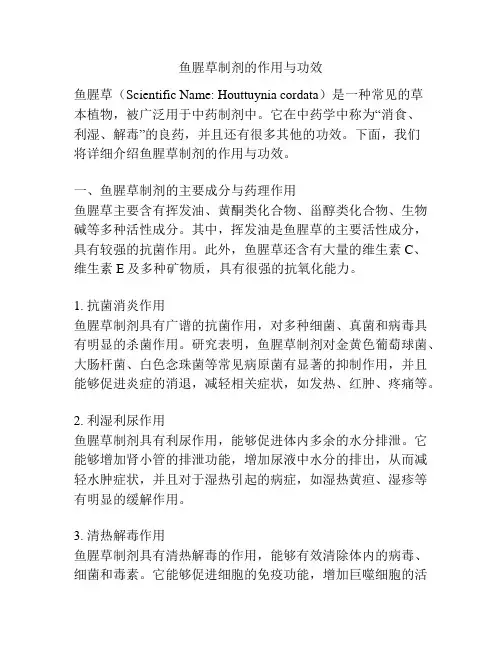 鱼腥草制剂的作用与功效
