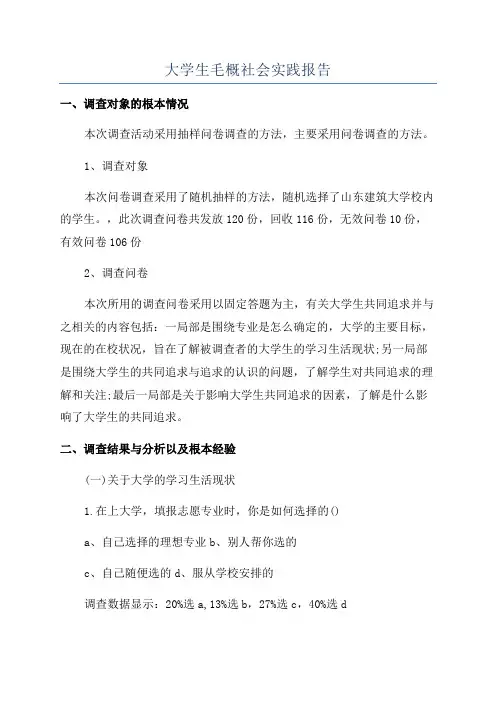 大学生毛概社会实践报告