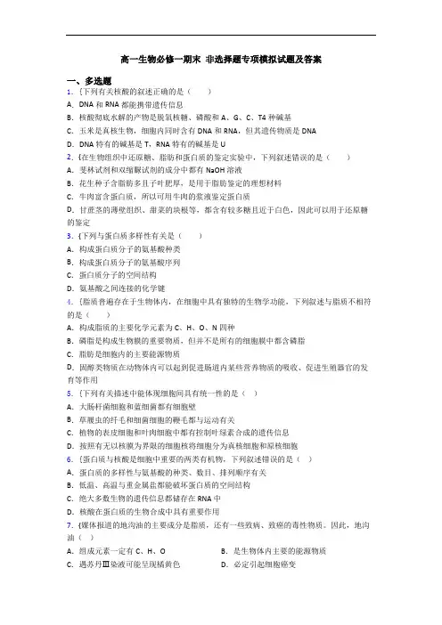 高一生物必修一期末 非选择题专项模拟试题及答案