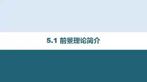 第5章 前景理论 《行为金融学》PPT课件