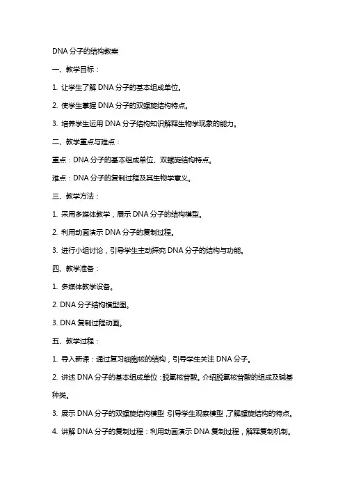 DNA分子的结构教案