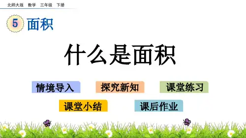 北师大版三年级下册数学5.1 什么是面积PPT课件(共14张PPT)