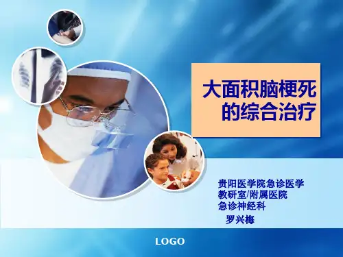 大面积脑梗死