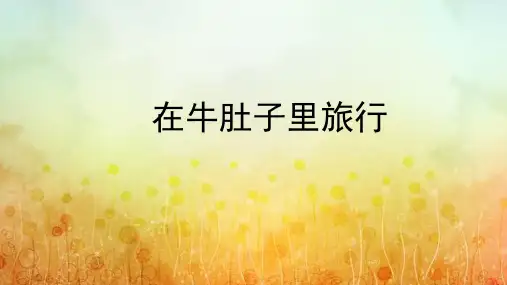 10 在牛肚子里旅行 课件(共21张PPT)(1)