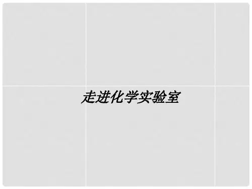 九年级化学上册 第1单元 步入化学殿堂 到实验室去 化学实验基本技能训练(一)课件1 (新版)鲁教版