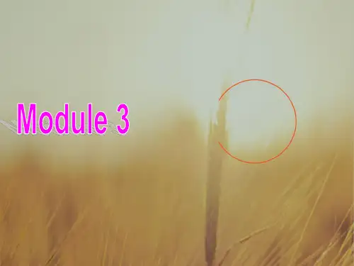 英语周报2016-2017学年高二外研版选修八：Module 3 课件 Writing 精品