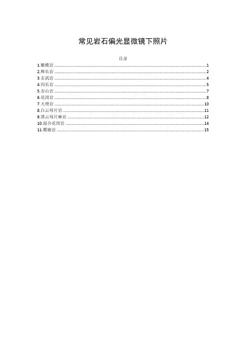 常见岩石偏光显微镜下照片汇总