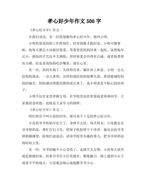 孝心好少年作文500字
