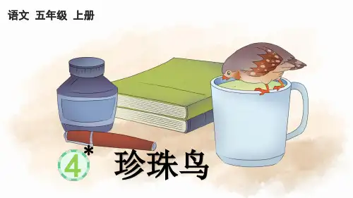 部编版五年级语文上册第一单元第4课《珍珠鸟》教学课件