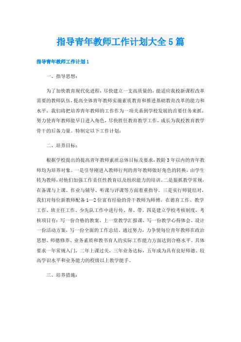 指导青年教师工作计划大全5篇