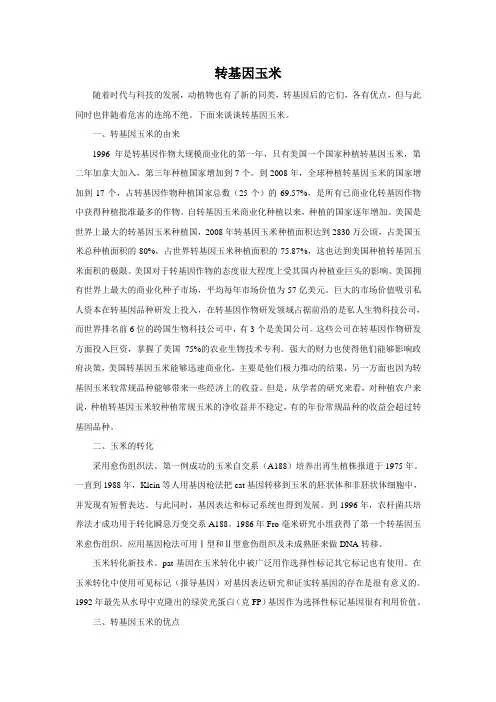 转基因玉米