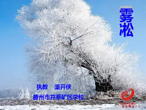雾淞课件(苏教版四年级语文课件)