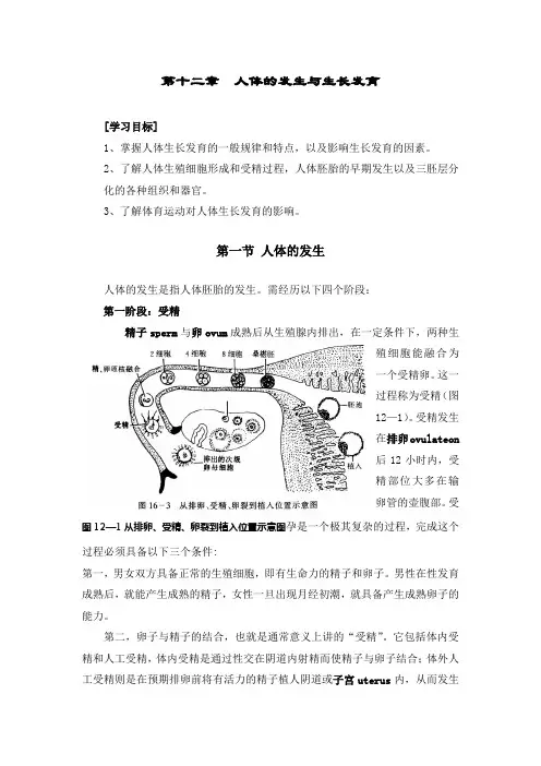 人体解剖学 第十二章人体的发生与生长发育