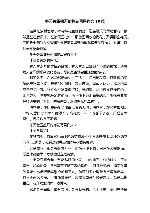冬天傲雪盛开的梅花写景作文10篇