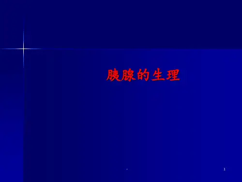 胰腺的生理ppt课件