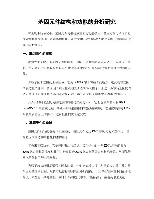 基因元件结构和功能的分析研究
