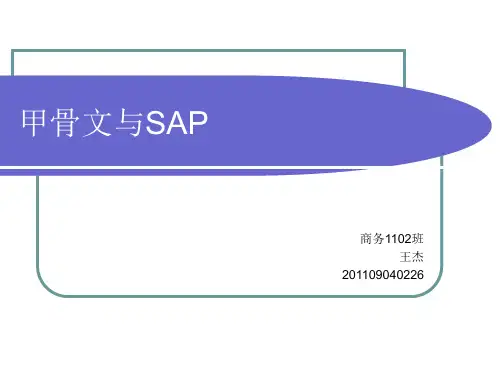 甲骨文与SAP