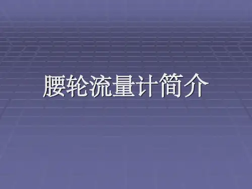 腰轮流量计简介