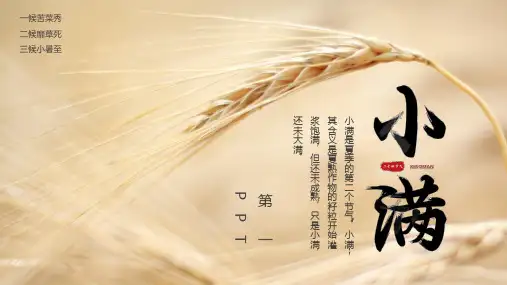 二十四节气小满PPT模板