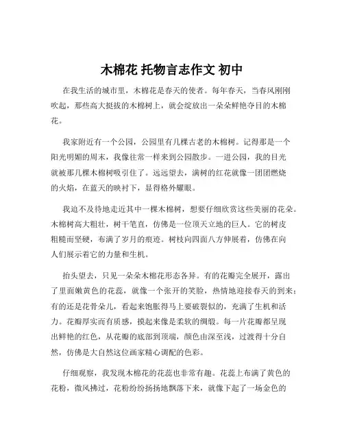 木棉花 托物言志作文 初中