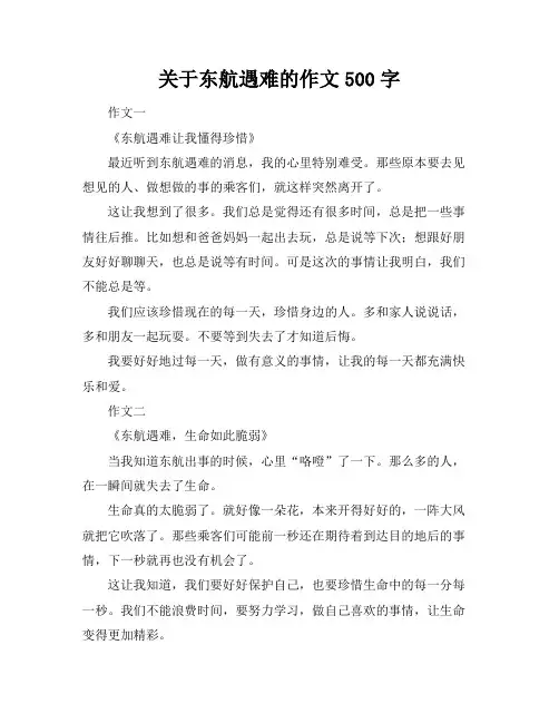 关于东航遇难的作文500字