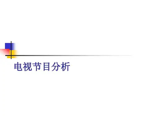 电视栏目分析及策划..