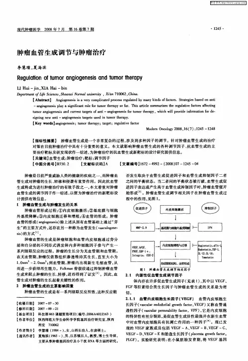 肿瘤血管生成调节与肿瘤治疗