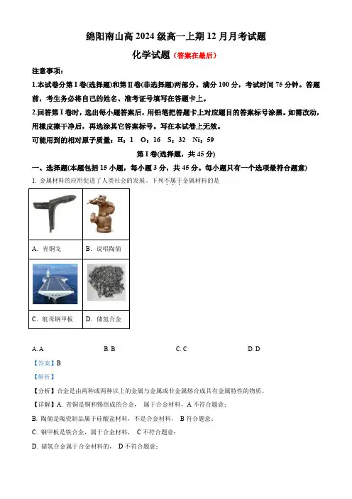 四川省绵阳市南山2024-2025学年高一上学期12月月考 化学试题含答案