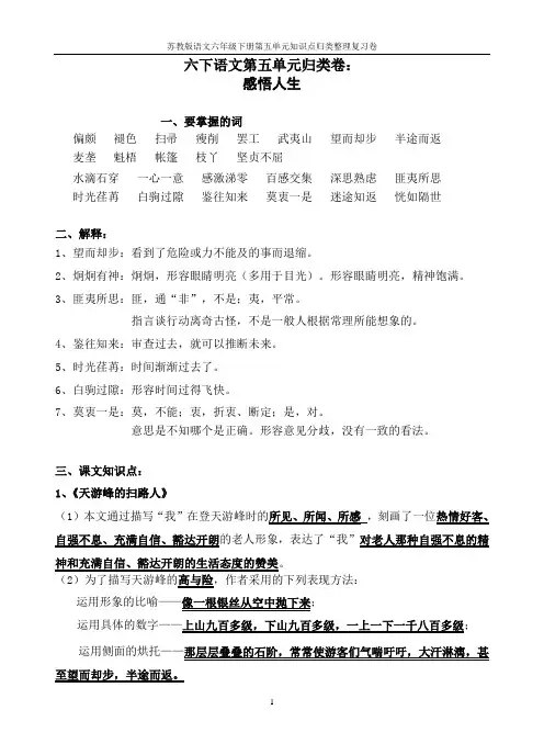苏教版语文六年级下册第五单元知识点归类整理复习卷