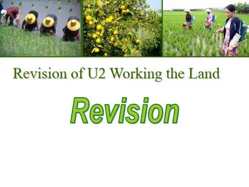 人教版高中英语必修4 Unit 2 Working the land Revision单元复习课课件