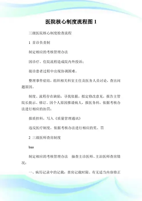 医院核心制度流程图1(2).doc