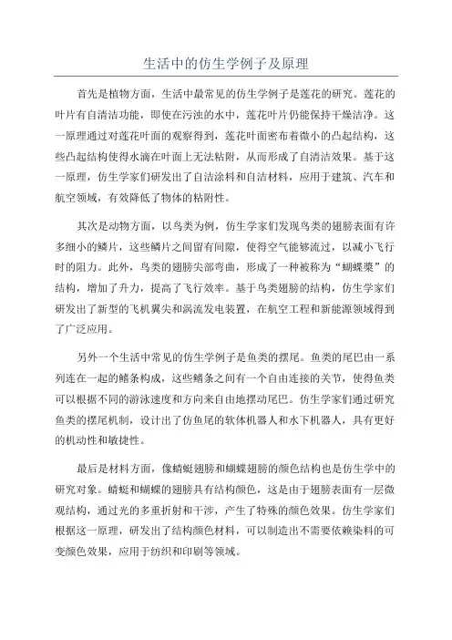 生活中的仿生学例子及原理