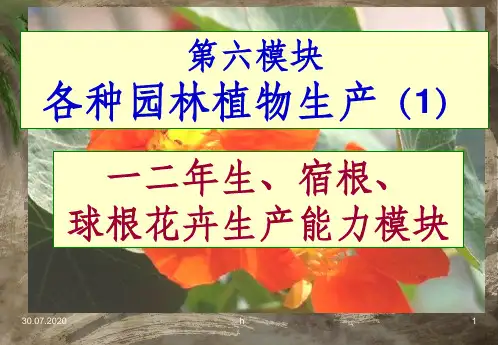 一二年生、宿根、球根花卉栽培技术