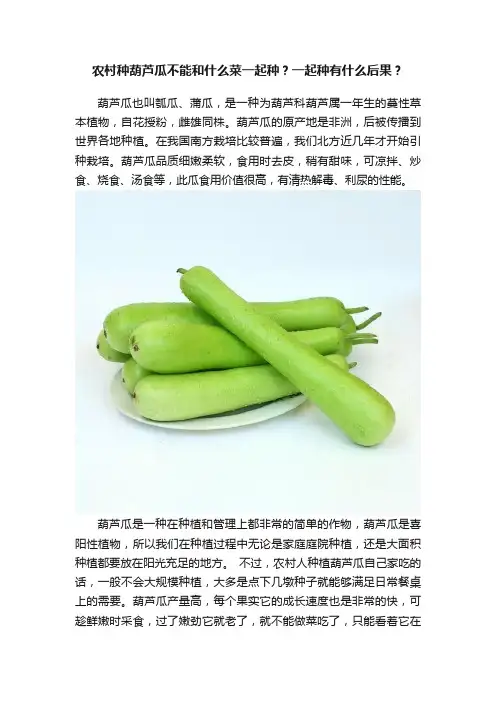 农村种葫芦瓜不能和什么菜一起种？一起种有什么后果？