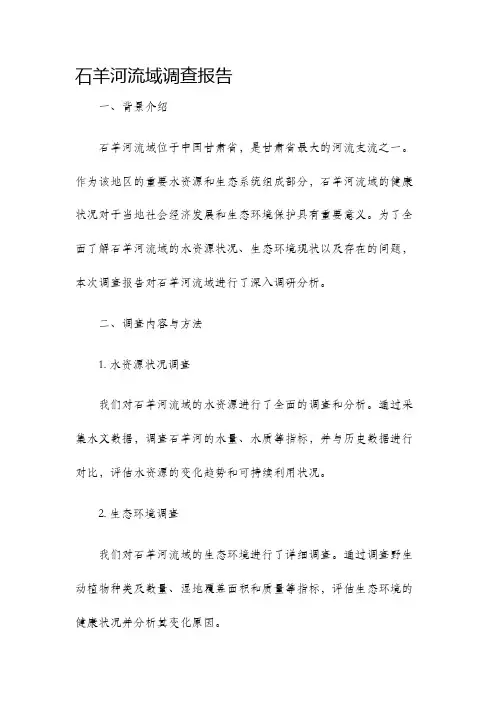 石羊河流域调查报告