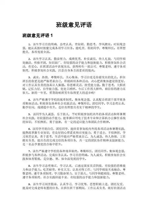 班级意见评语
