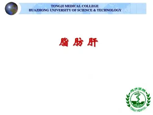 脂肪肝