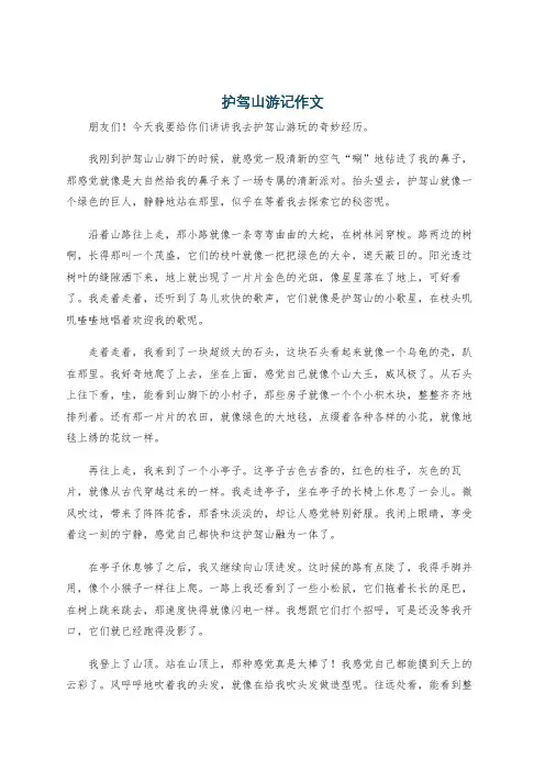 护驾山游记作文