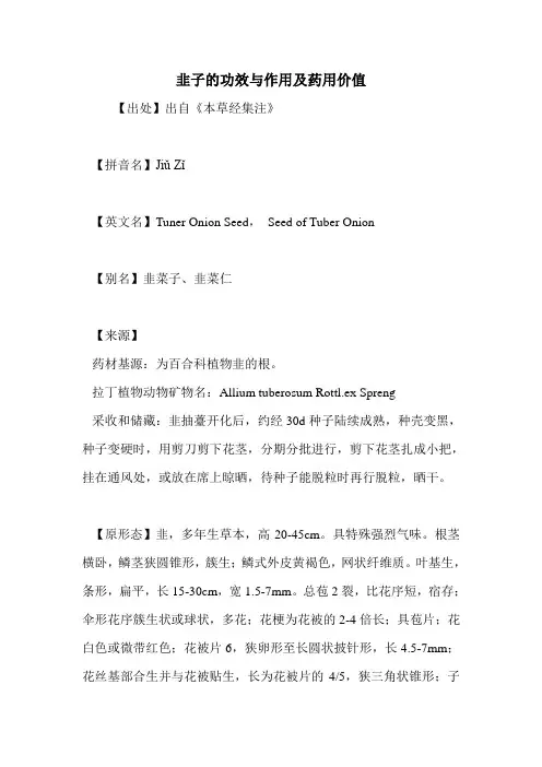韭子的功效与作用及药用价值