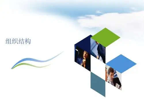 组织结构